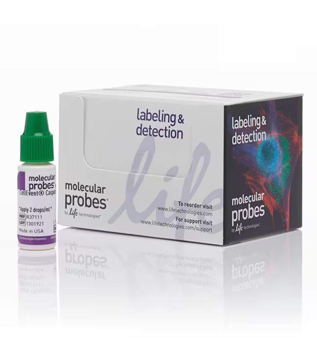 Реагент Reagent для изучения каспазной активности CellEvent Caspase-3/7 Green ReadyProbes