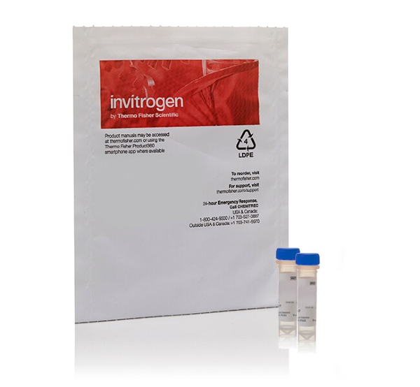 Набор LIVE/DEAD Yeast Viability Kit для флуор. анализа (микроскопия, цитометрия) жизнеспособности клеток дрожжей