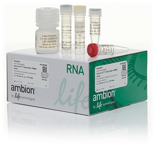 Набор для прямого анализа экспрессии генов Cells-to-CT 1-Step Power SYBR Green Kit из культивируемых клеток без предварительного выделения РНК