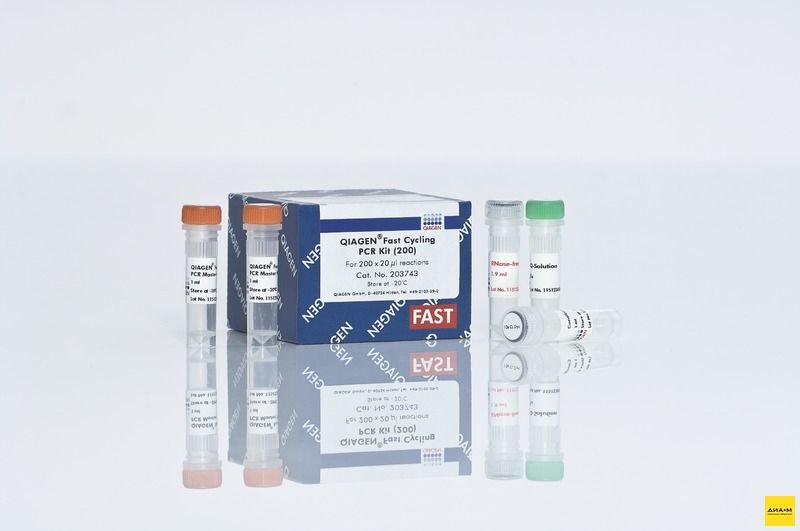 203743 Мастер-микс для ПЦР Fast Cycling PCR Kit , с ДНК-полимеразой с «горячим» стартом HotStarTaq Plus, для быстрой амплификации 200 реакций, Qiagen