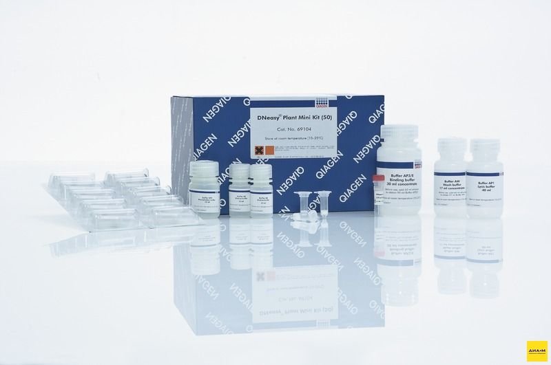  69106 Набор для выделения геномной ДНК из растительных образцов DNEasy Plant Mini Kit 250 выделений, Qiagen