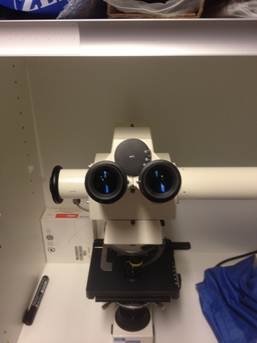 Zeiss discussiemicroscoop