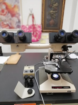 Olympus BH-2 Binoculair Transmitted Light Microscope