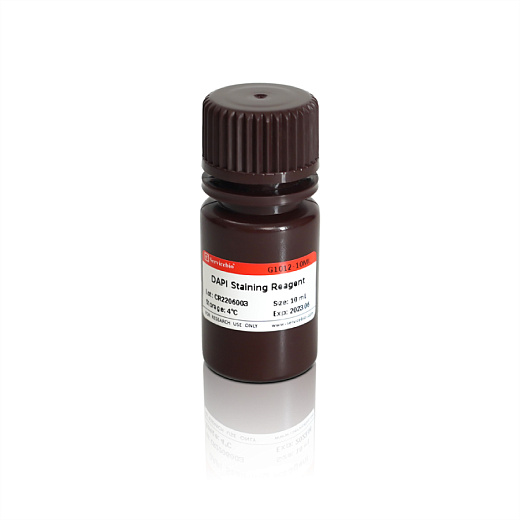 ДАПИ/DAPI, раствор, 2 мг/мл, готовый к использованию, (2μg/mL, Ready to Use)