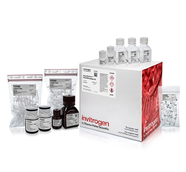 Набор Mouse RiboPure-Blood RNA Isolation Kit