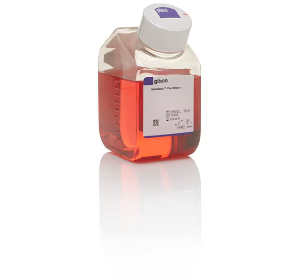Среда Neurobasal Plus, без животных компонентов, без глутамина, с феноловым красным