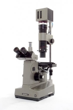 Olympus IM # 1794