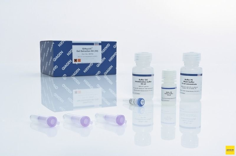 28706 Набор для выделения ДНК из гелей QIAquick Gel Extraction Kit 250 выделений, Qiagen