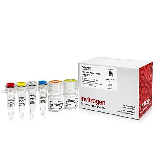 Набор для прямого анализа экспрессии генов SYBR Green Fast Advanced Cells-to-CT Kit из культивируемых клеток без предварительного выделения РНК