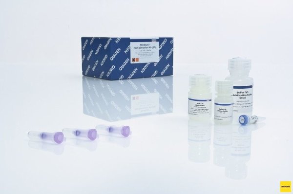 28604 Набор для выделения ДНК из гелей в мин. объёме MinElute Gel Extraction Kit 50 выделений, Qiagen