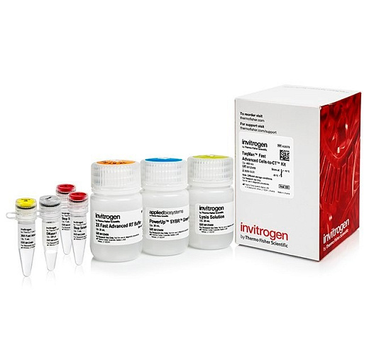 Набор для прямого анализа экспрессии генов TaqMan Fast Advanced Cells-to-CT Kit из культивируемых клеток без предварительного выделения РНК