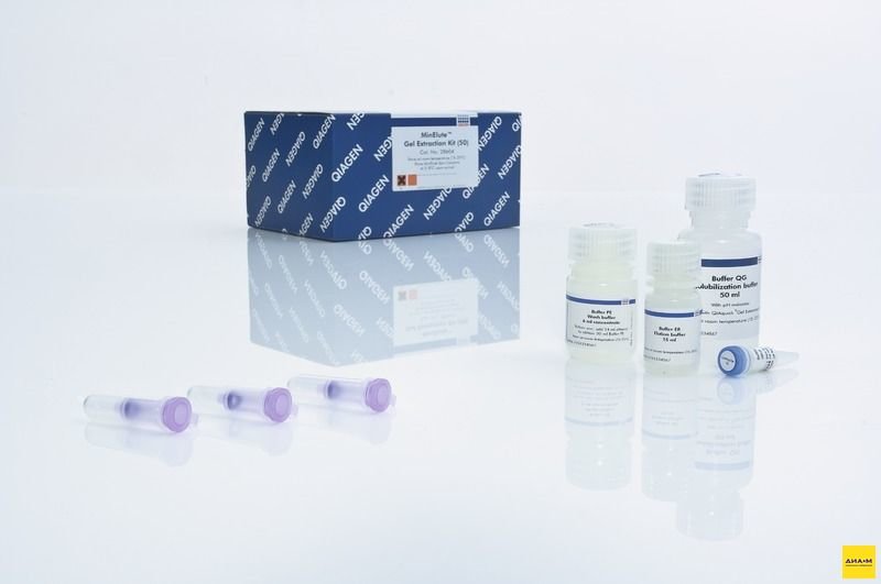  28606 Набор для выделения ДНК из гелей в мин. объёме MinElute Gel Extraction Kit 250 выделений, Qiagen
