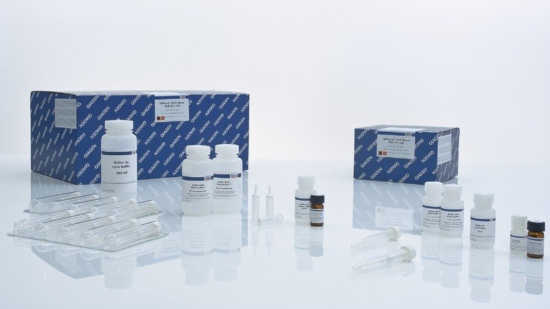 51183 Набор для выделения ДНК из крови и биологических жидкостей QIAamp DNA Blood Midi Kit 20 выделений, Qiagen