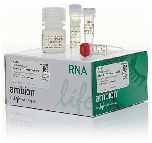 Набор для прямого анализа экспрессии генов ДНК Cells-to-CT 1-Step TaqMan Kit из культивируемых клеток без предварительного выделения РНК