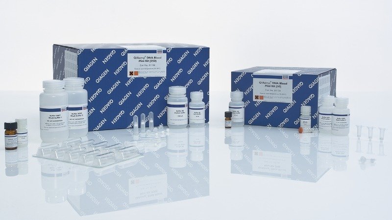 51104 Набор для выделения ДНК из крови и биологических жидкостей QIAamp DNA Blood Mini Kit 50 выделений, Qiagen