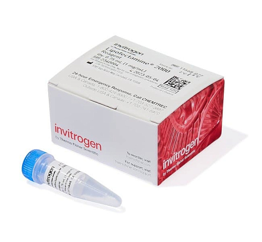 Реагент для трансфекции Lipofectamine 2000
