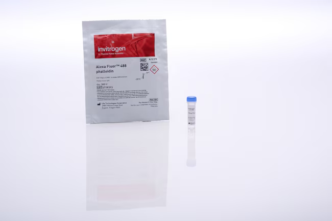 Краситель Alexa Fluor 488 Phalloidin