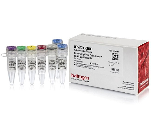 Набор для прямого синтеза кДНК SuperScript IV CellsDirect cDNA Synthesis Kit из лизата клеток млекопитающих без предварительного выделения РНК