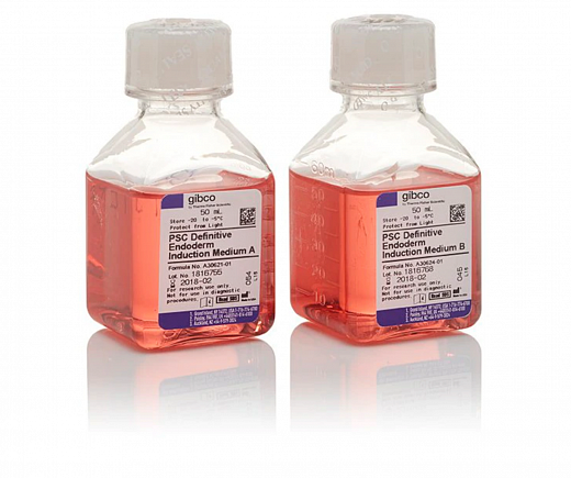 Набор PSC Definitive Endoderm Induction Kit