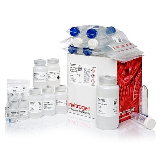 Набор PureLink Expi Endotoxin-Free Maxi Plasmid Purification Kit