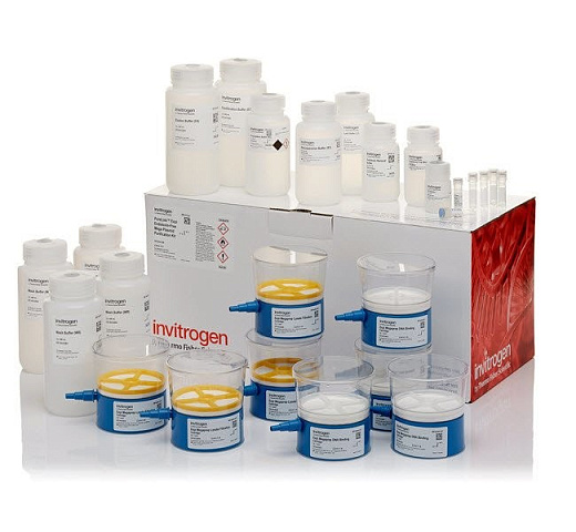 Набор PureLink Expi Endotoxin-Free Mega Plasmid Purification Kit