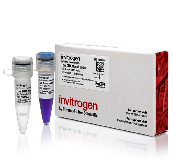 Маркер длин ДНК Low DNA Mass от 100 п.н. до 2000 п.н., 0,1175 мкг/мкл