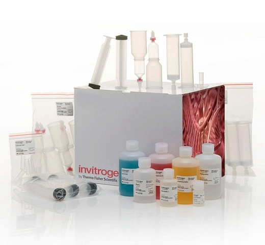Набор PureLink Fast Low-Endotoxin Maxi Plasmid Purification Kit