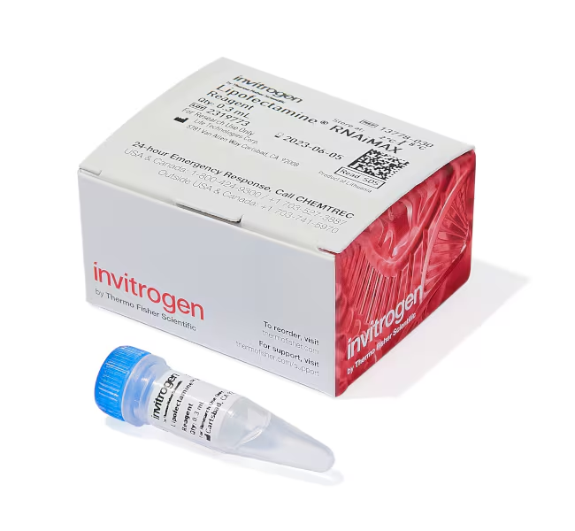 Липофектамин RNAiMAX Transfection Reagent