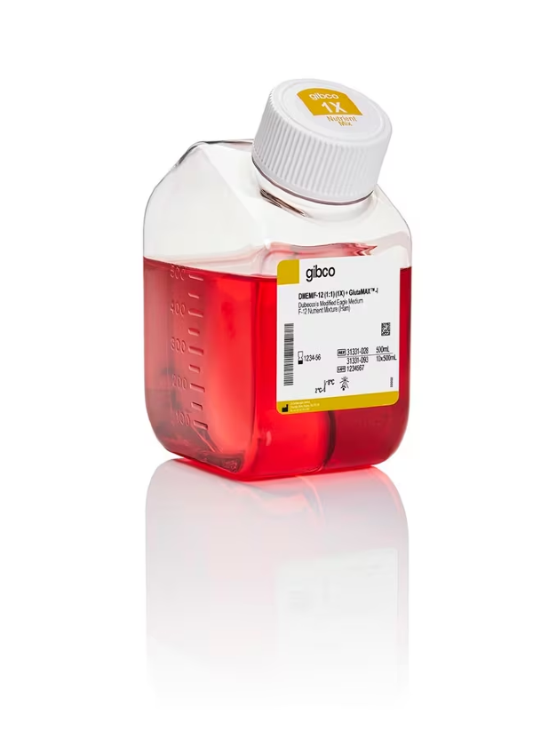 Среда DMEM/F-12, с GlutaMAX, с пируватом, без ХЕПЕС, с феноловым красным