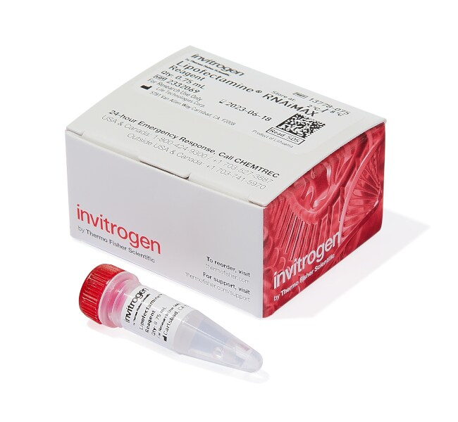 Липофектамин RNAiMAX Transfection Reagent