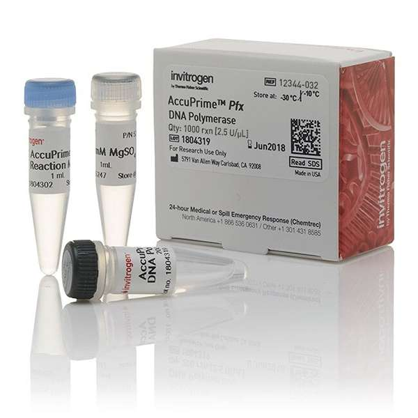 ДНК-полимераза AccuPrime Pfx DNA Polymerase