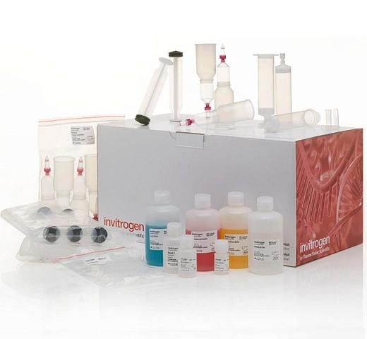 Набор PureLink Fast Low-Endotoxin Midi Plasmid Purification Kit