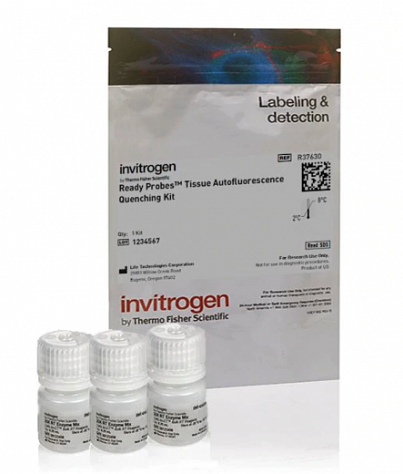 Набор для снижения автофлуоресценции ReadyProbes Tissue Autofluorescence Quenching Kit
