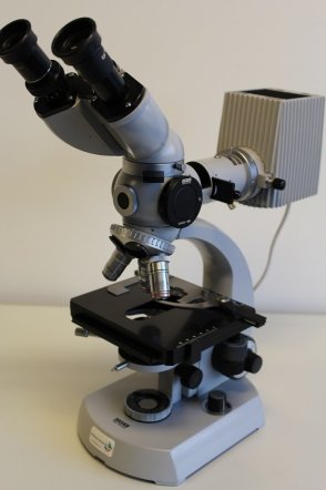 Carl Zeiss Doorvallend Licht Fluorescentie Microscoop