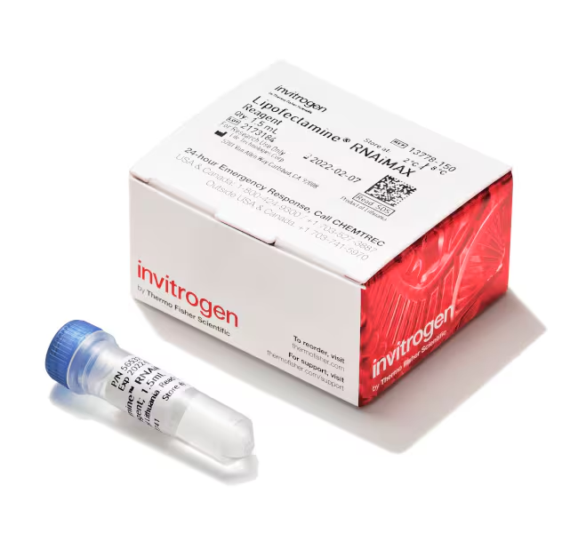 Липофектамин RNAiMAX Transfection Reagent