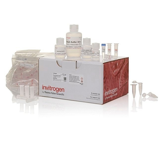 Набор PureLink FFPE RNA Isolation Kit