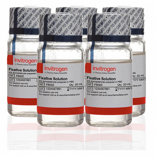 Раствор для фиксации (4% formaldehyde, methanol-free)