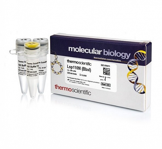 Эндонуклеаза рестрикции Lsp1109I (BbvI), 5 е.а./мкл, Fermentas