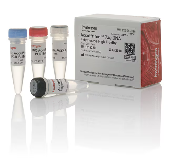 ДНК-полимераза AccuPrime Taq DNA Polymerase, high fidelity