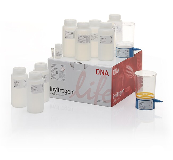 Набор PureLink HiPure Expi Plasmid Gigaprep Kit