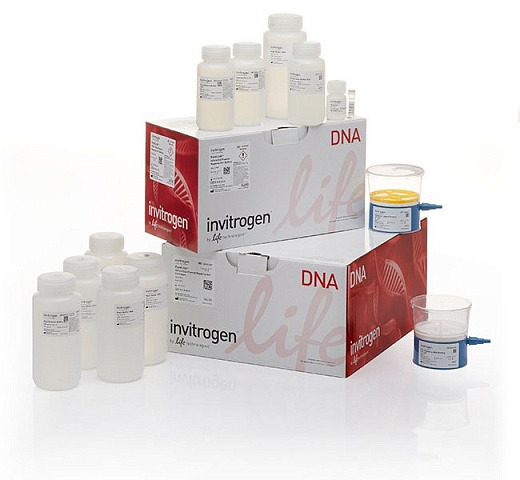Набор PureLink HiPure Expi Plasmid Megaprep Kit