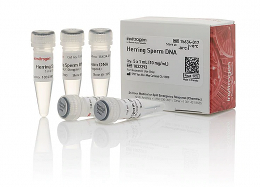 Раствор ДНК спермы сельди/Herring Sperm DNA Solution, UltraPure