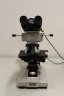 Nikon Labophot Binoculair Fluorescentie Microscoop