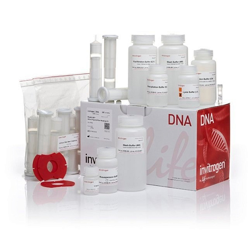 Набор PureLink HiPure Plasmid Filter Maxiprep Kit