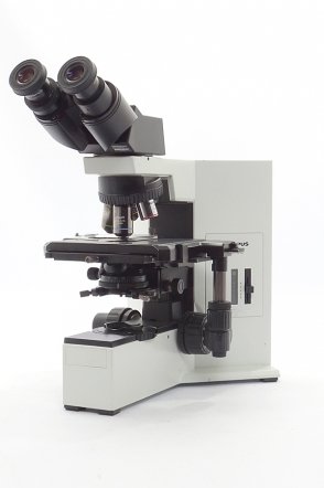 Olympus BX40 # 1771