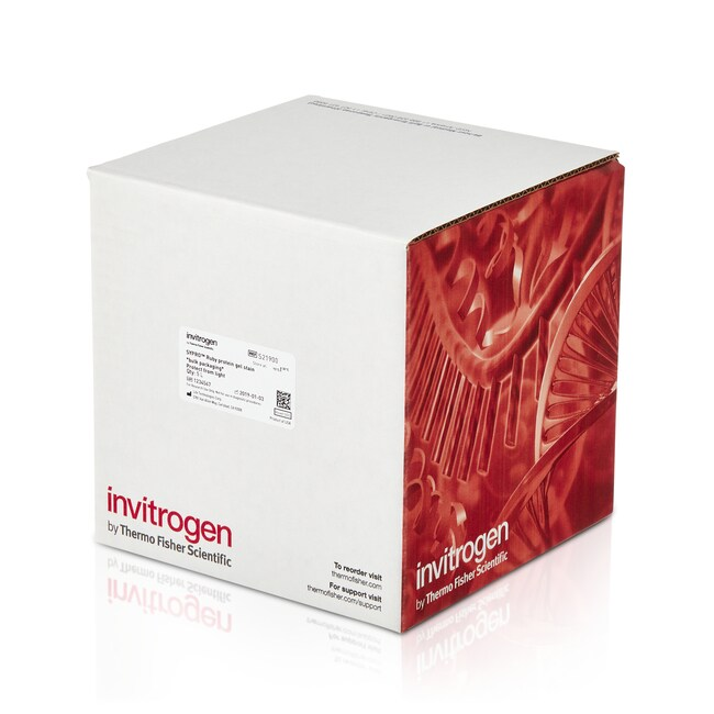 Краситель Sypro Red, 5000× р-р в ДМСО