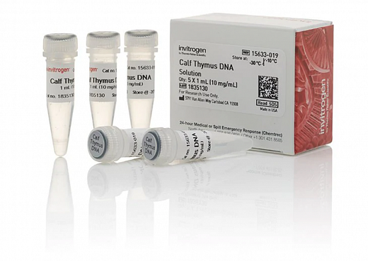 Раствор ДНК тимуса теленка/ Calf Thymus DNA Solution, UltraPure