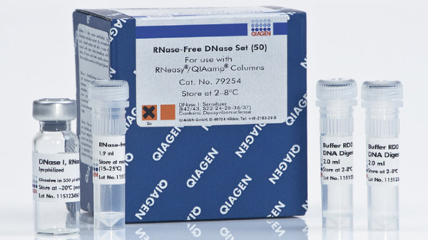 79254 Набор для ДНКазной обработки образцов РНК RNAse-Free DNAse Set 50 образцов, Qiagen