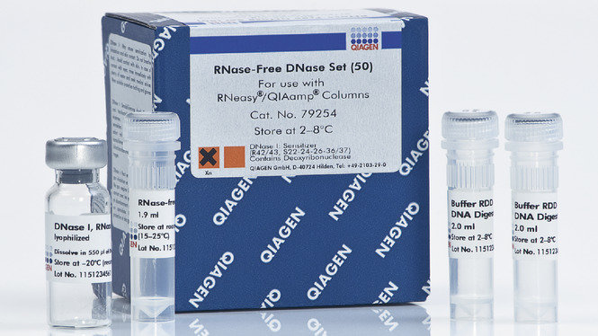 79254 Набор для ДНКазной обработки образцов РНК RNAse-Free DNAse Set 50 образцов, Qiagen