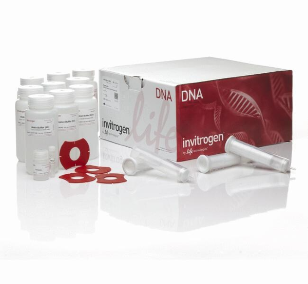 Набор PureLink HiPure Plasmid Filter Midiprep Kit